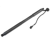 NTY Ammortizatore pneumatico, Cofano bagagli /vano carico compatibile con VOLVO