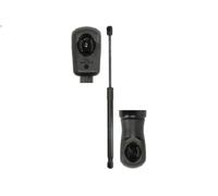 Molla a gas, bagagliaio/vano di carico STABILUS 033418 per ROOMSTER 1.4 2006-201