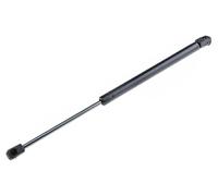 Molla a gas cofano AE-BM-024 NTY per BMW X5 X6