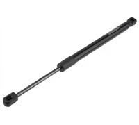 Molla a gas cofano AE-NS-034 NTY