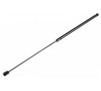 NTY AE-VW-038 Ammortizzatore pneumatico, Cofano motore per VW