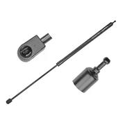 Ammortizzatore Pneumatico Cofano Motore Meyle 16-40 910 0035 per Renault