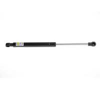 Molla a gas cofano anteriore 8004224 LESJÖFORS per AUDI Q5 Q5 Van