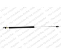 NGK 2031 Candeletta M10 x 1,25