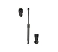Magnum Ammortizzatore pneumatico MGS3014 molla a gas per cofano motore