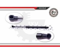 Molla a gas cofano Cofano motore 52SKV019 ESEN SKV per BMW 5 5 Touring