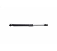 Ammortizzatore pneumatico, Cofano motore Cofano motore per BMW X5