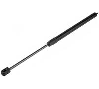 Molla a gas cofano Dx AE-ME-111 NTY