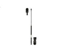 Molla a gas, cofano KROSNO 24574 per MERCEDES-BENZ SLK (R171) 3 2005-2011
