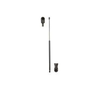 Molla a gas, cofano MAGNETI MARELLI 430719013809