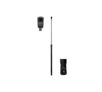 Molla a gas, cofano MAGNUM TECHNOLOGY MGS0008