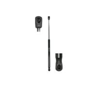 Molla a gas, cofano STABILUS 5913QB