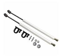 Molla A Gas Coperchio Frontale Per Toyota BB Xp30 2000-2005 Anteriore Cofano Cofano Ammortizzatori A Gas Ammortizzatore Fibra Carbonio Ammortizzatore pneumatico(Argento)