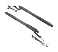 Molla A Gas Coppia Di Supporti Per Portellone Posteriore Elettrico L+R 51244887651 51244887652 Per BMW X5 E70 2007 2008 2009 2010 2011 2012 2013 Ammortizzatore A Gas