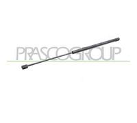 Molla A Gas Destra O Sinistra Portellone Posteriore Per Ford C-max Dal 2007-2010