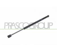 MOLLA A GAS DESTRA PORTELLONE POSTERIORE - 700 N - L 455 mm - C 130 mm - ? 18 mm