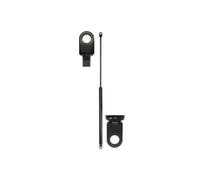 Molla a gas DT Spare Parts 1.22133