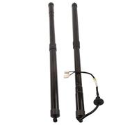 Molla a gas Elettrica FA1BR402A55BA FA1BR402A74AB Asta Supporto Portellone Posteriore Elettrico Sinistro/destro Non Caricato Per Lincoln MKX 2016-2018 Ammortizzatore A Gas(1 paio)