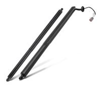 Molla A Gas Elettrica Per Lincoln Per MKX 2016 2017 2018 Per Nautilus 2019 FA1Z-58406A10B FA1Z-14B351A Auto Elettrica Ttailgate Asta Supporto
