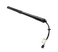 Molla a gas Elettrica Supporto Elettrico Portellone Posteriore Per Hyundai Per Santa Fe 2013-2016 81771B8100 81780B8100 Ammortizzatori a Gas(Giusto)