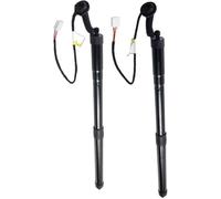Molla a gas Elettrica Supporto Sollevamento Portellone Elettrico Posteriore 2 Pezzi Per Lexus NT200 NX300H NX300 2017-2021 6892079017 6891079017 Molle a Gas