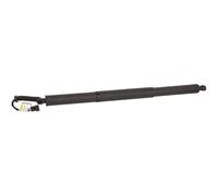 DIEDERICHS 9100569 Ammortizatore pneumatico, Cofano bagagli / vano carico