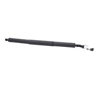 DIEDERICHS 9100565 Ammortizatore pneumatico, Cofano bagagli / vano carico