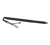 DIEDERICHS Gasfeder Dämpfer Heckklappe Hinten Sinistra Adatta Per BMW X3 F25