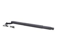 Molla a gas per portellone posteriore BMW X6, ammortizzatore E 2015-2019 X6