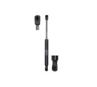 Molla a gas, porta STABILUS 646294