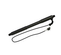 Molla A Gas Portellone 51247332695 51247332696 Per BMW X5 E70 E70 LCI 2007-2013 Asta Di Supporto Del Portellone Elettrico Ammortizzatore Idraulico Molla A Gas Elettrico(Sinistra)