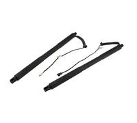 Molla a gas Portellone 51247340975 51247340976 Barra Duomi Elettrica Portellone Posteriore Sinistro E Destro Per BMW Serie 3 2012-2013-2019 F31/F31N Molle A Gas Portellone Elettrico(A pair)