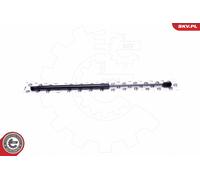 Molla a gas, portellone MERCEDES C-Class (S203)