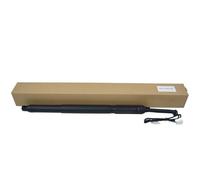 Molla A Gas Portellone Per BMW X1 F48/F49 2018-2019 Portellone Elettrico Posteriore Sollevatore Elettrico Portellone Posteriore Ammortizzatori 51247481807 51247481803 Puntoni Di Supporto(Giusto)