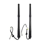 Molla A Gas Portellone Per Lexus RX350 RX450h 2016-2019 Supporto Portellone Posteriore Sinistro E Destro Ammortizzatori A Gas Elettrici 68910-48071 68920-48031 Puntoni Di Supporto(sinistra e destra)