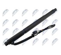 NTY AE-BM-076 Ammortizzatore pneumatico, Ripiano (Cofano bag. / Vano carico)