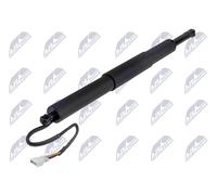 Molla a gas portellone posteriore per BMW 5 F11 09-17 DESTRO/