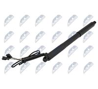 Molla a gas portellone posteriore per BMW X5 E70 06-13