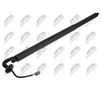 NTY Motore sollevamento portellone bagagliaio AE-FR-084 elettrico Sx
