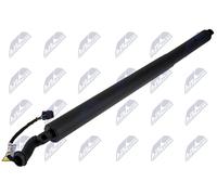 Motore sollevamento portellone bagagliaio Sx AE-SK-043 NTY
