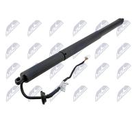 NTY Molle a Gas Portellone Posteriore Destra Adatto per Tesla Modello X 100D AWD