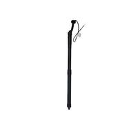 Molla a gas Portellone posteriore Supporto Per Portellone Elettrico Per Lexus NX200t NX300h 2.0L .5L 14-16 Ammortizzatori A Gas Posteriore 68910-79005 68910-79016 Molla Pneumatica(Sinistra)