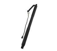 Molla a gas Portellone Supporto Sollevamento Elettrico Auto Per BMW X2 F39 2017-2023 Ammortizzatori A Gas Portellone Posteriore 51249465654 Ammortizzatori a Gas(Sinistra)
