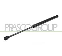 Molla a gas PRASCO RN3259055