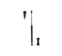 Molla a gas STABILUS 709158