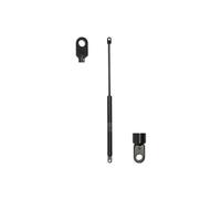 Molla a gas STABILUS 913286