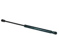 Molla a gas, supporto ruota di scorta STA4166XT STABILUS