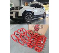 MOLLA ABBASSAMENTO F&R 4 PEZZI per SANTAFE (MX5) [STORM SPRING, S. KOREA]