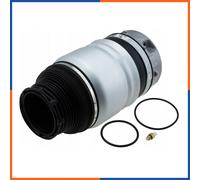 NTY Molla pneumatica, Autotelaio compatibile con AUDI VW VAG EZC-PS-016