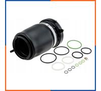 NTY EZC-BM-309 Molla pneumatica